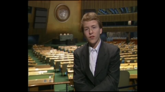 About the United Nations: Palestine