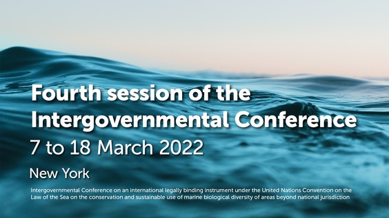 Intergovernmental Conference on Marine Biodiversity of Areas Beyond National Jurisdiction (Fourth session, Opening)