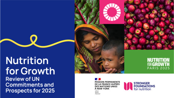 N4G Summit "Nutrition for Growth" (Paris, 27 and 28 March 2025): Review of UN commitments and prospects for 2025