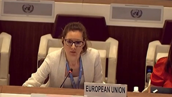9th Meeting, 2nd Session Group of Governmental Experts on Lethal Autonomous Weapons Systems 2024