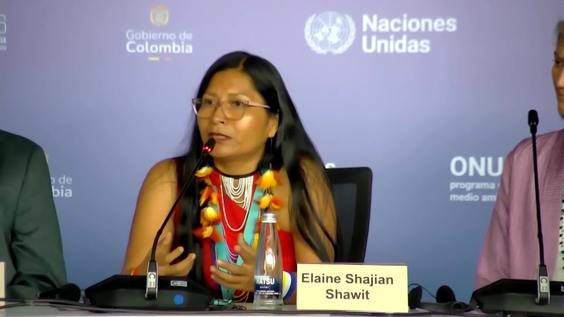 Press Conference: World Wildlife Fund at COP 16 – United Nations Biodiversity Conference 2024