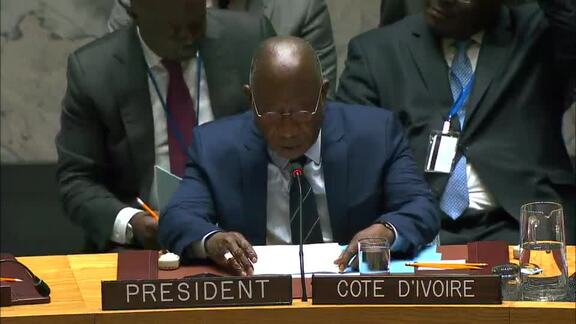 8439th Security Council Meeting: Situation in Middle East