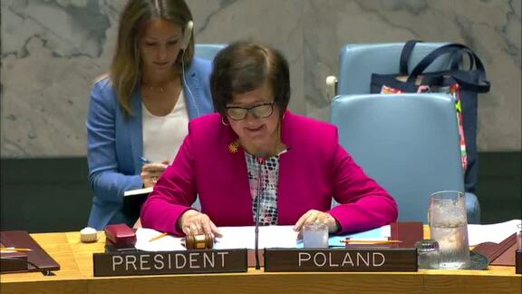 8602nd Security Council Meeting: Threats to International Peace and Security