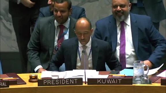 8568th Security Council Meeting: Situation in Mali