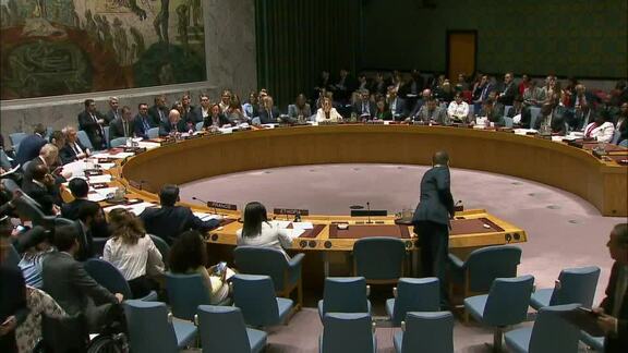 8276th Security Council Meeting: Letter from Ukraine