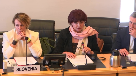 3202nd Meeting, 117th Session, Committee on the Elimination of Racial Discrimination (CERD)