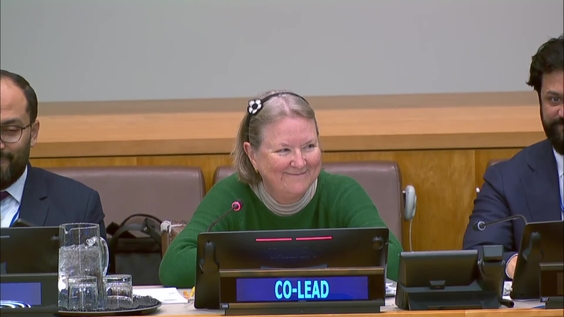 (13th meeting) Intergovernmental Negotiating Committee on the United Nations Framework Convention on International Tax Cooperation - Fourth Session