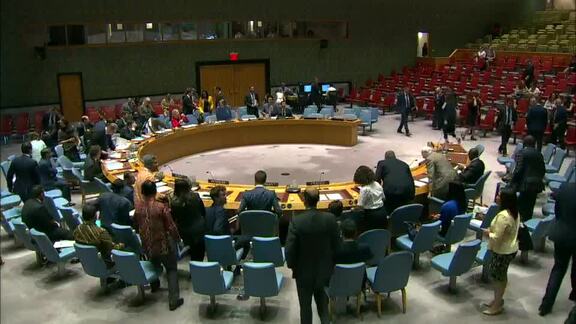 8572nd Security Council Meeting: Situation in Middle East