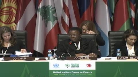 14th plenary meeting - UN Forum on Forests, 10th session