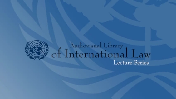 Elizabeth Salmón - Sistema Interamericano de Derechos Humanos