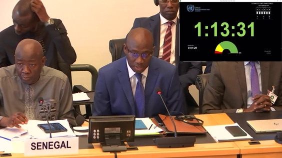 3000th Meeting, 110th Session, Committee on the Elimination of Racial Discrimination (CERD)