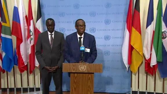 Minister of Foreign Affairs of Mali Briefs Press