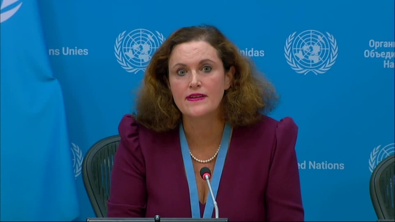 Press conference: Cecilie Bailliet, Independent Expert on human rights and international solidarity