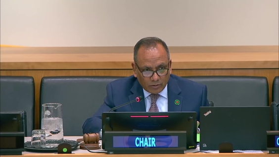 Second Committee, 15th plenary meeting - General Assembly, 79th session