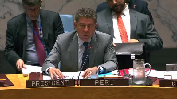 8589th Security Council Meeting: Situation in Middle East