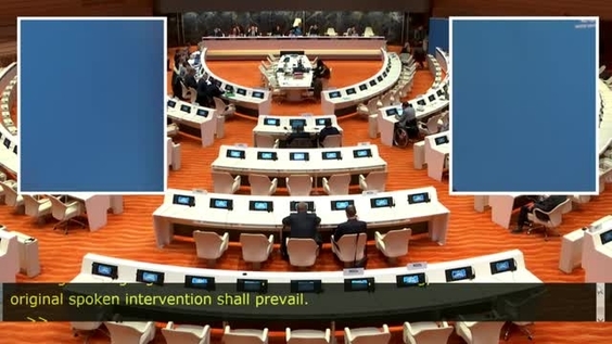 Consideration of Russian Federation (Cont'd) - 380th Meeting 19th Session Committee on Rights of Persons with Disabilities