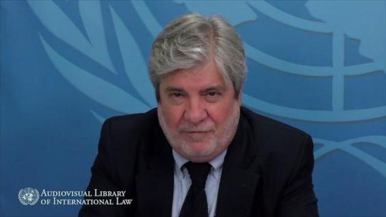 Jean Michel Arrighi - The Organization of American States