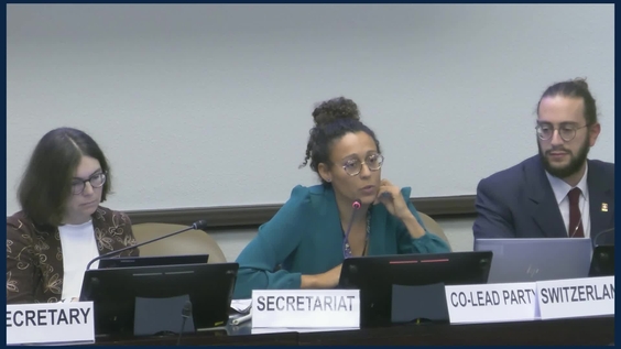 4th Session, 21st meeting of the WG on Integrated Water Resources Management