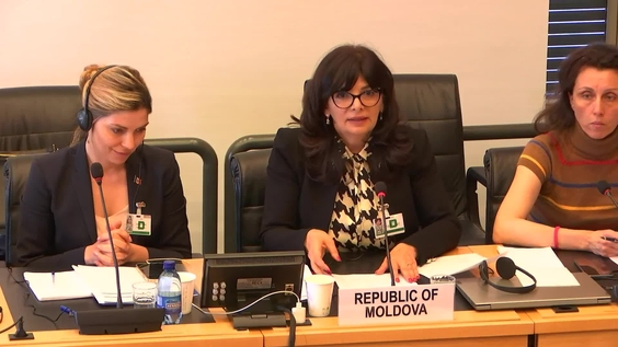 3065th Meeting, 112th Session, Committee on the Elimination of Racial Discrimination (CERD)