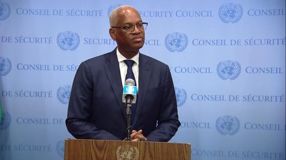 El-Ghassim Wane (MINUSMA) on Mali - Security Council Media Stakeout