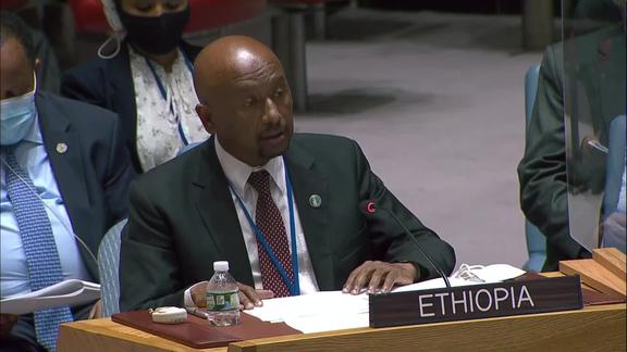 Peace and security in Africa- Security Council, 8816th meeting