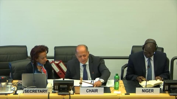 Consideration of Niger (Cont'd) - 3575th Meeting 125th Session of Human Rights Committee