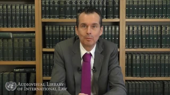 Alex Oude Elferink - International Law and Negotiated and Adjudicated Maritime Boundaries: A Complex Relationship