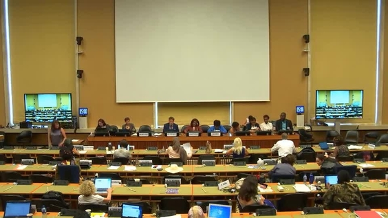 Consideration of Guyana (Cont'd) - 1695th Meeting, 73rd Session Committee on the Elimination of Discrimination Against Women 