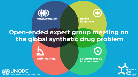 [2nd meeting] Synthetic Drug Strategy Expert Group Meeting