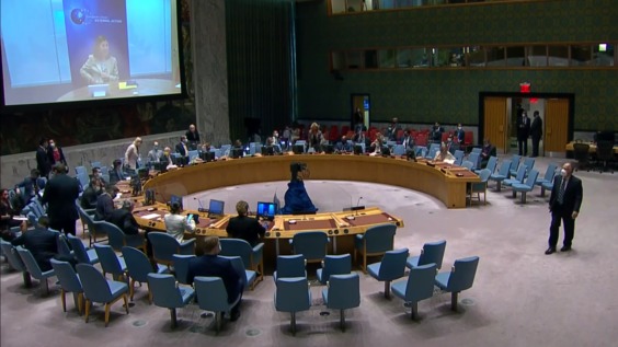 The situation in the Central African Republic - Security Council, 8802nd meeting.