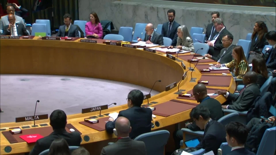 The situation in Somalia - Security Council, 9441st meeting