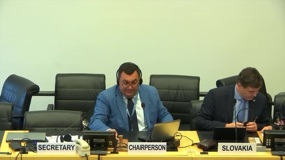 Consideration of Slovakia (Cont'd) - 47th Meeting, 66th Session Committee on Economic, Social and Cultural Rights
