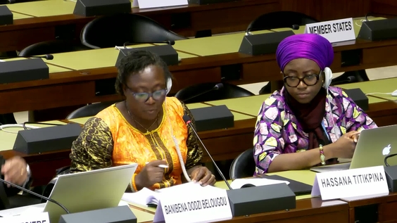 3023rd Meeting, 93rd Session, Committee on the Elimination of Discrimination against Women (CEDAW)