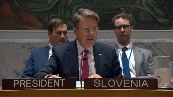 The situation in Bosnia and Herzegovina - Security Council, 10082nd meeting