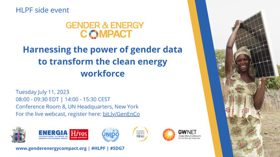 Three practical issues Harnessing the power of gender data to transform the clean energy workforce (HLPF 2023 Side Event)