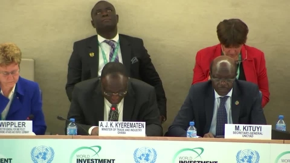 Mthuli Ncube (Zimbabwe), Entrepreneurship for Sustainable Development - World Investment Forum 2018
