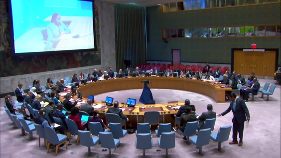 Nicholas Haysom (UNMISS) on South Sudan - Security Council, 9420th meeting