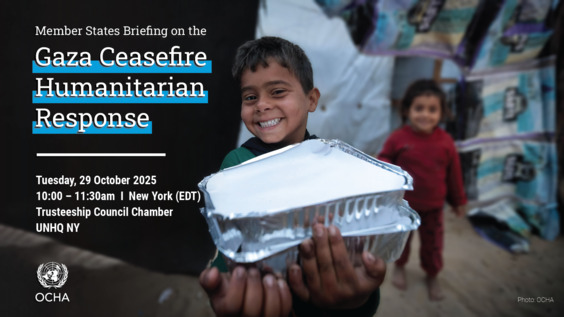 Member States briefing