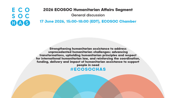 2026 ECOSOC Humanitarian Affairs Segment - Economic and Social Council, 29th Plenary Meeting