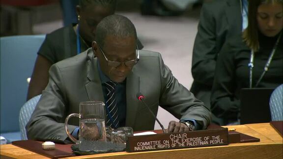 8583rd Security Council Meeting: Situation in Middle East Part 3