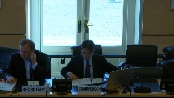 Progress Report of Special Rapporteur on Follow Up to Concluding Observations - 3358th Meeting 119th Session of Human Rights Committee