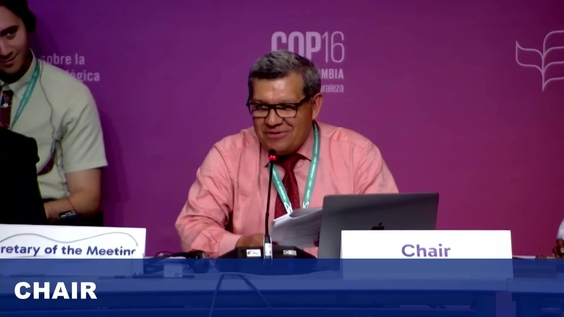 Working Group 2 (1st meeting) at COP16 – United Nations Biodiversity Conference 2024