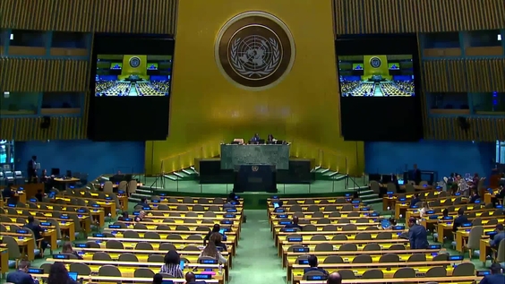General Assembly: 91st Plenary Meeting, 78th Session