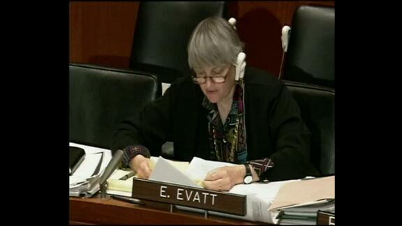 1401st Meeting of Human Rights Committee: 53rd Session - Part 2