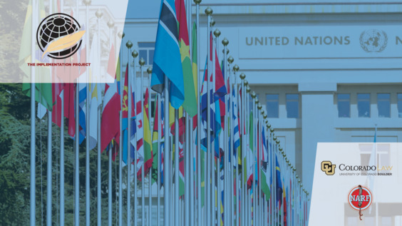 Self-Determination in Times of Peace and Conflict: Internal Relations and Indigenous Diplomacies (UNPFII Side Event)