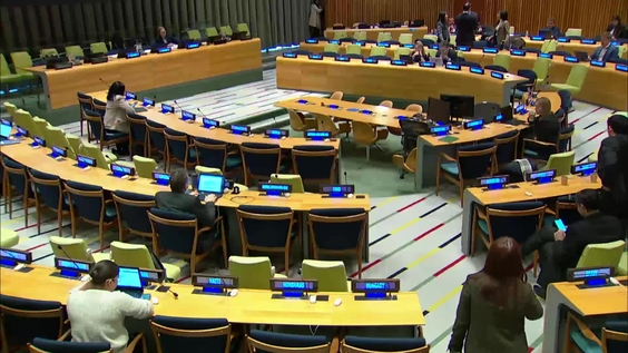 General Assembly: Reform of the Security Council | Cluster Debate on the Veto - Informal meeting of the plenary, 79th session