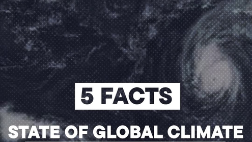 5 Facts from the WMO's 2025 Climate Update