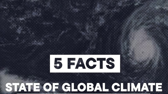 5 Facts from the WMO's 2025 Climate Update