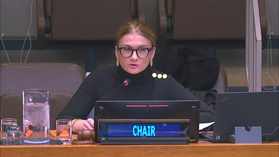 5th plenary meeting - 64th Session of the Commission for Social Development (CSocD64)