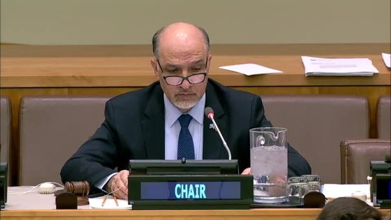 Third Committee, 54th meeting - General Assembly, 73rd session
